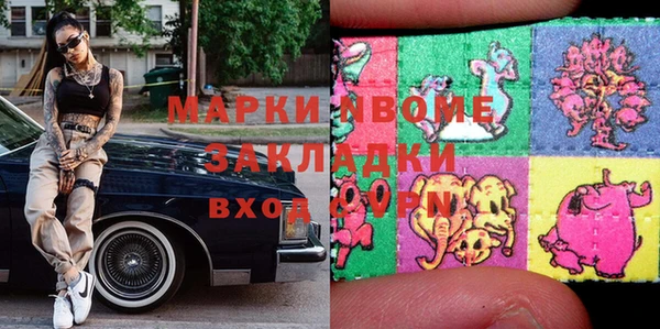 шишки Кодинск
