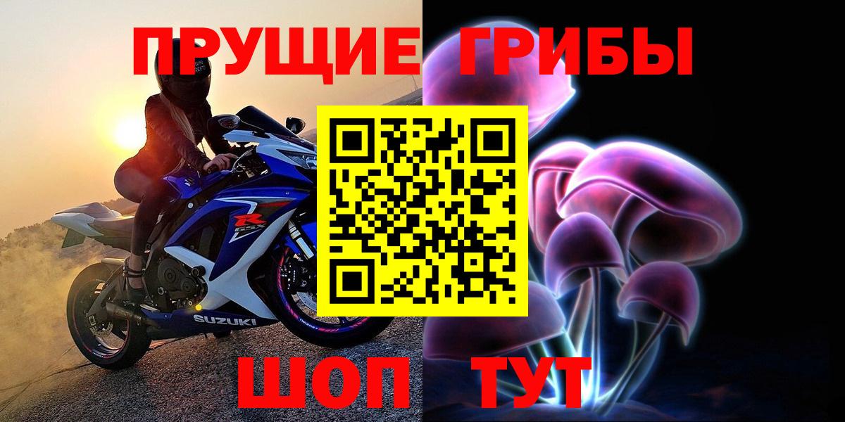 Псилоцибиновые грибы мицелий  Кстово  Псилоцибиновые грибы прущие грибы 