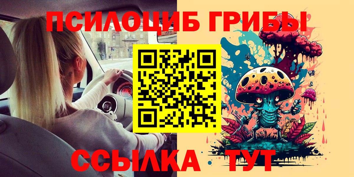 Псилоцибиновые грибы GOLDEN TEACHER  Вход с VPN  Кстово 